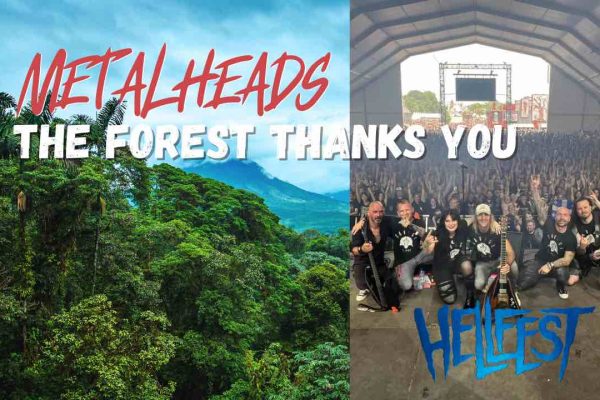 Une forêt sauveardée par les fans de metal. Et le Hellfest.