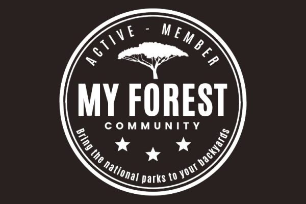 Logo my forest