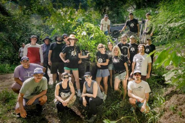 Savage lands planting team