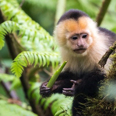 costa-rica-surf-losnancites-vacation-youcome-yoga-49-pmdu2ugr6177id1cuqa6apsqoq7xien3yujwu029b4